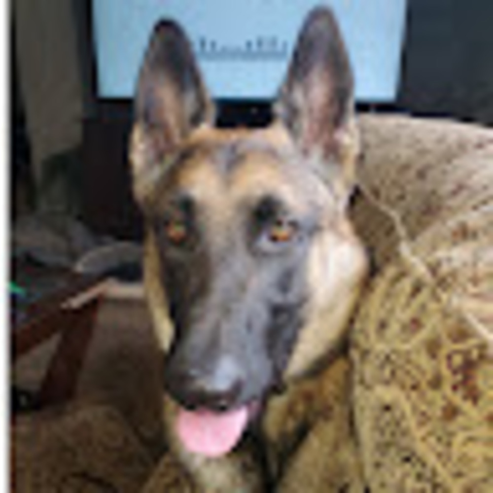 Meet your Posher, Destiny